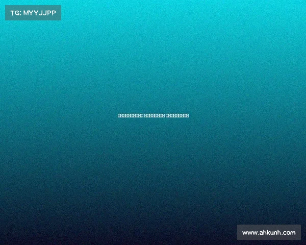 网球赛事观众热情高涨 掀起全场狂热氛围 打破常规的观赛体验