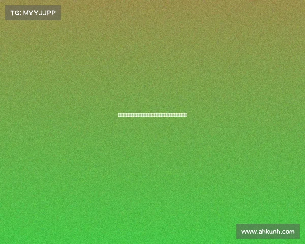 以欧塞尔为核心探讨法国中部城市的历史文化与现代发展潜力